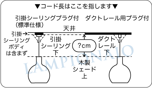 指定コード長 LAMPIONAIO Inc.